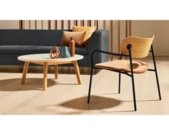 SIDEBYSIDE LOUNGE CHAIR -Cheap Chairs Shop 3 17 700x560 1